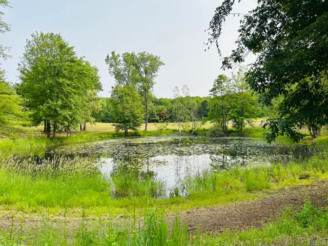 a view of a lake with a yard