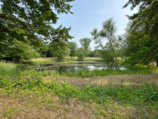 a big yard with lots of green space and plants