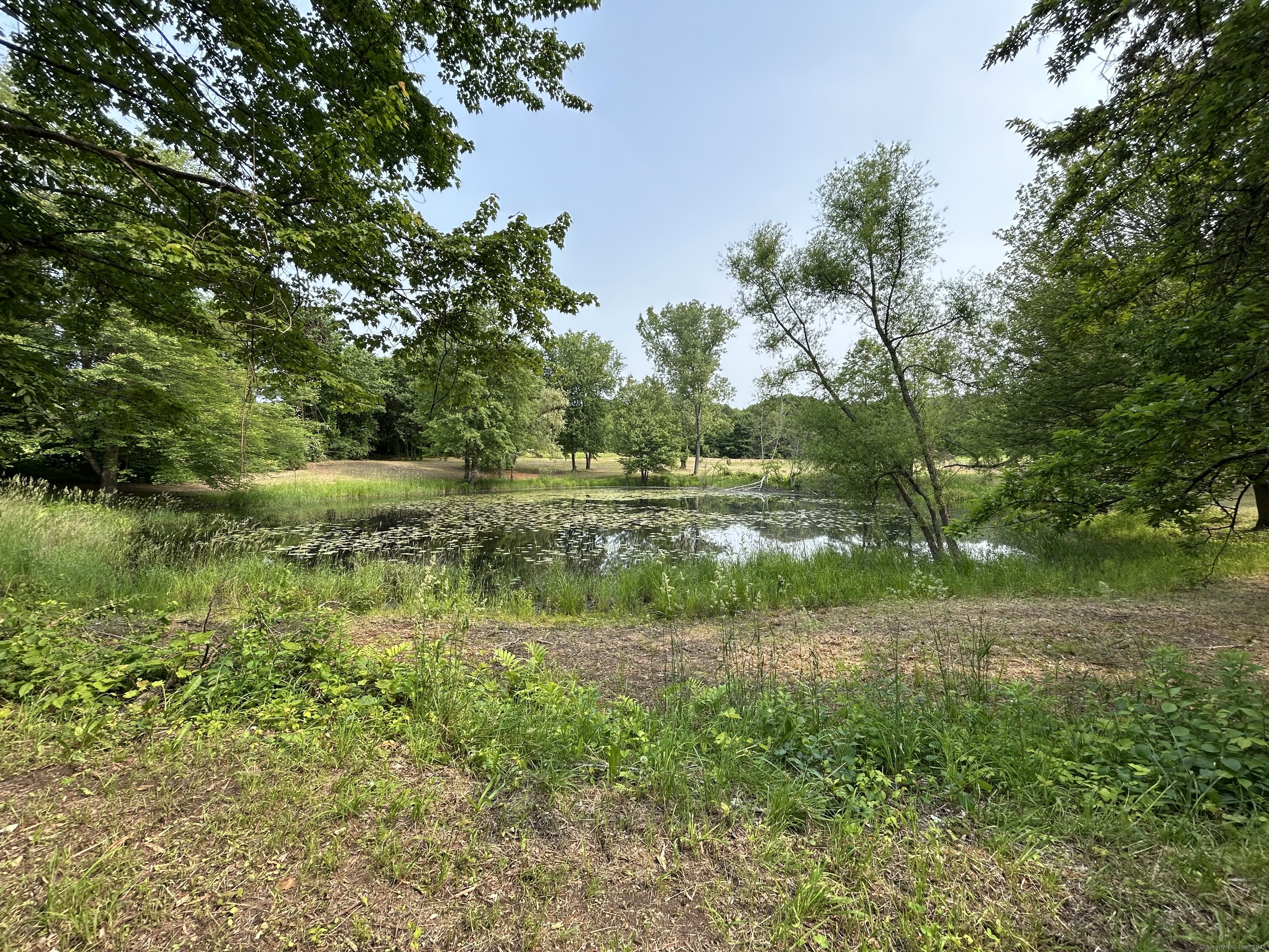490 Old Day Hill Road Windsor, CT 06095 - Photo 3 of 11 a big yard with lots of green space and plants