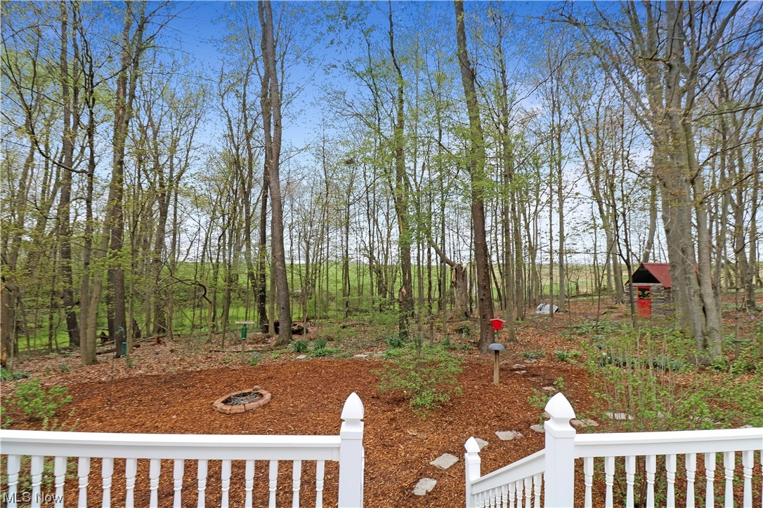 14280 Shorle Road Sterling, OH 44276 - Photo 28 of 35 Gallery Image 28