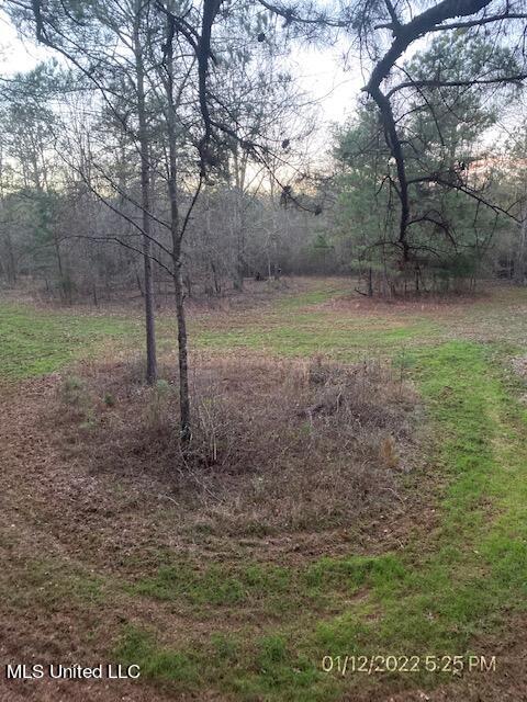 0 West Adams Station Road Edwards, MS 39066 - Photo 2 of 3 DateStamper_0299 (1)