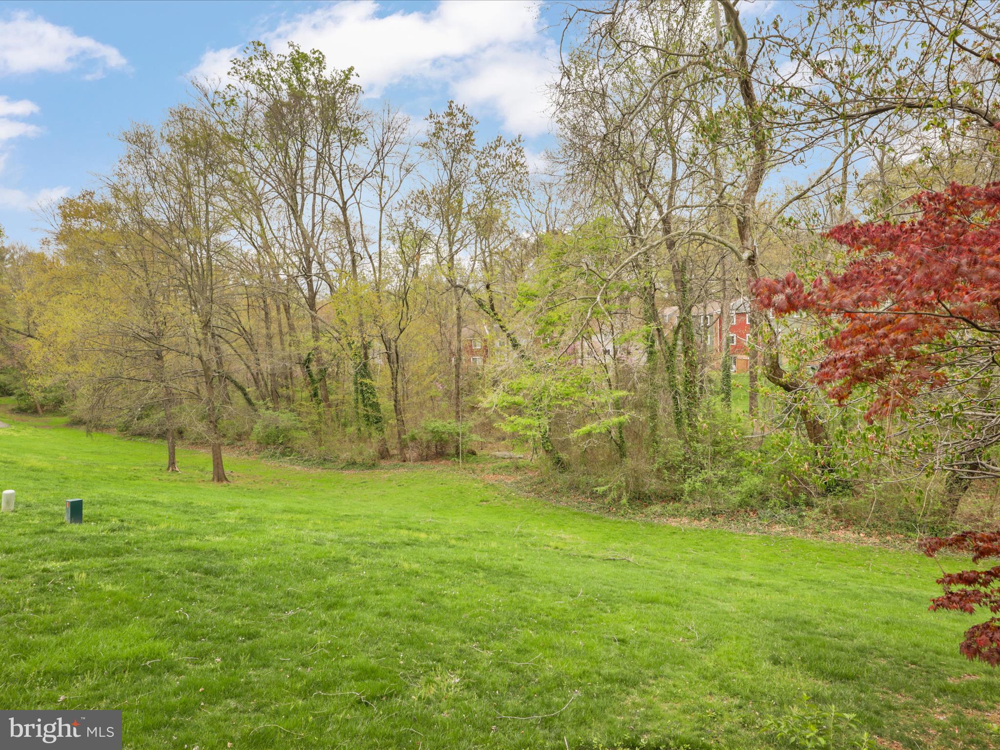 11159 Saffold Way Reston, VA 20190 - Photo 43 of 51 a view of yard with green space