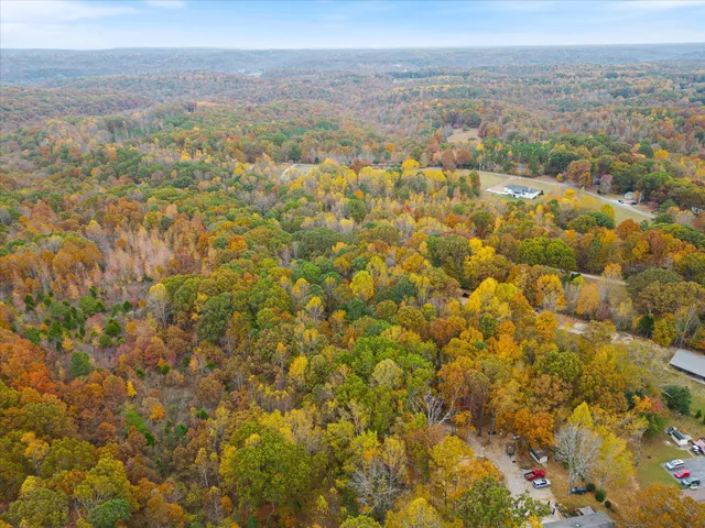 a view of city and mountain