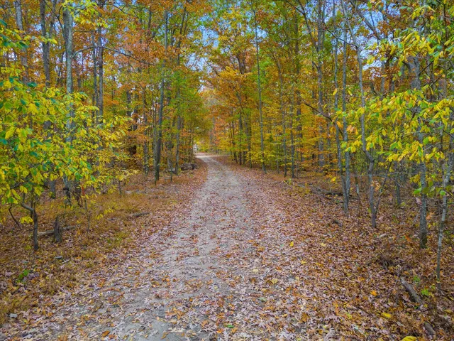 a view of a yard with a tree