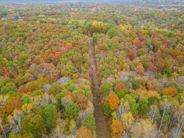 a view of city and mountain