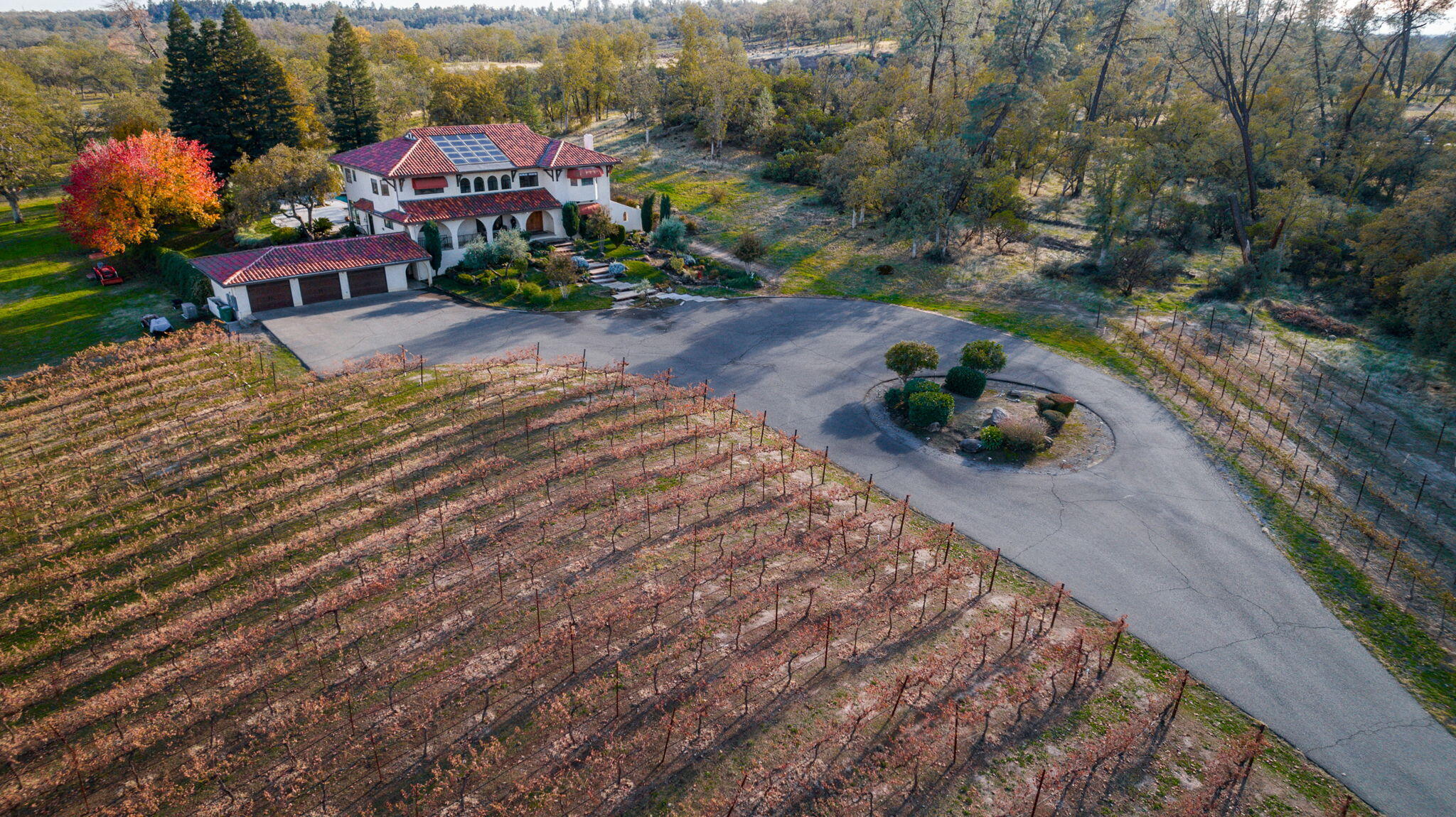 22797 Silverlode Lane Palo Cedro, CA 96073 - Photo 4 of 64 an aerial view of a house with a garden and lake view