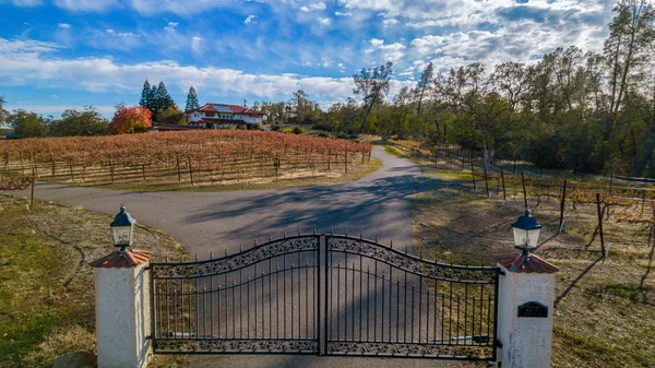 a view of a backyard with a lake