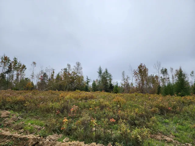 $319,900 | 451-ac Smith Ridge Road, Charlotte, ME 04666