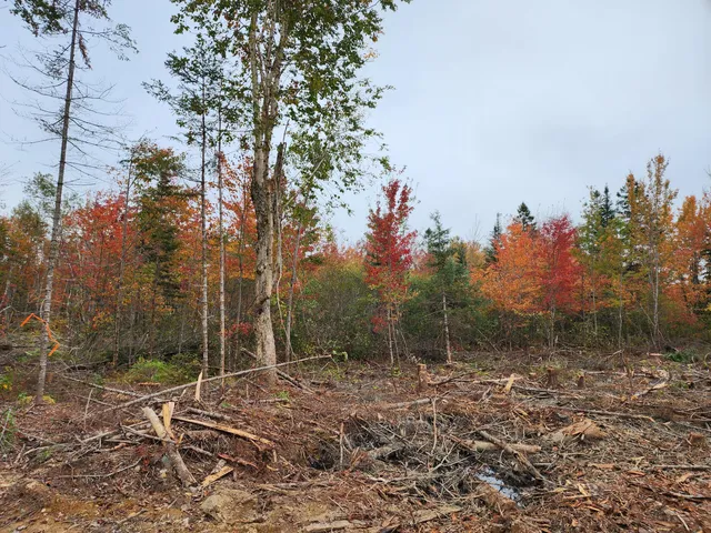 $319,900 | 451-ac Smith Ridge Road, Charlotte, ME 04666