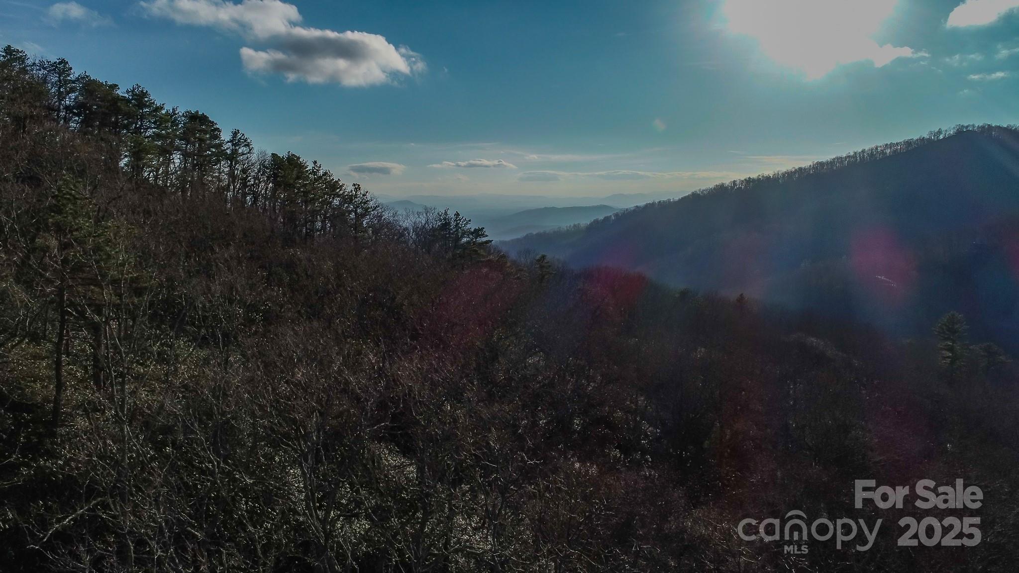 a view of a yard from a yard