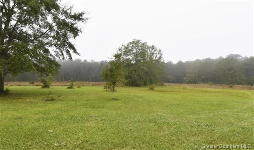 158 Domingue Road Ragley, LA 70657 - Photo 2 of 2 Gallery Image 2
