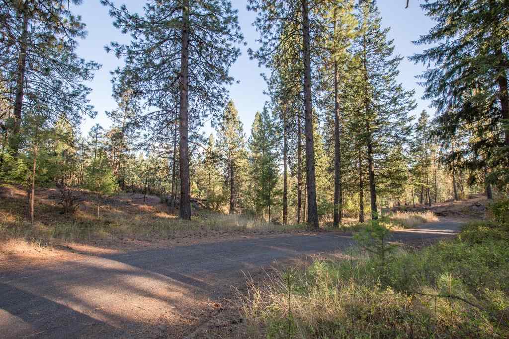 15900 North Austin Road Spokane, WA 99208 - Photo 8 of 11