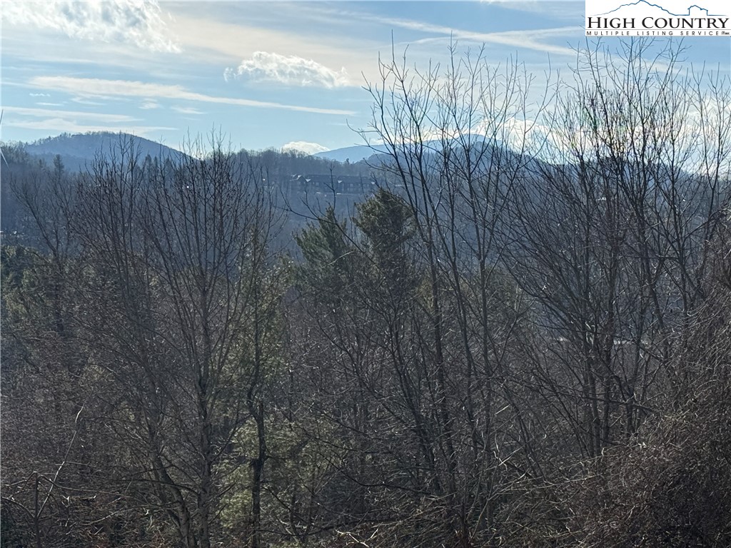 140 Alexander Drive Boone, NC 28607 - Photo 33 of 35