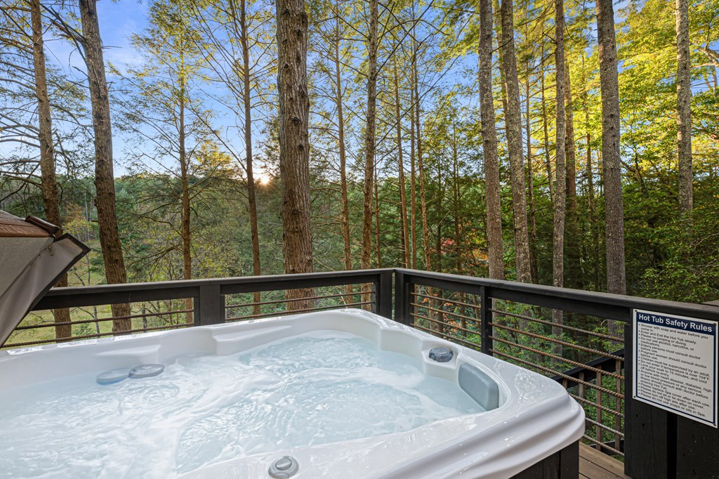 35 Dogwood Riverside Drive Blue Ridge, GA 30513 - Photo 46 of 71 Gallery Image 46