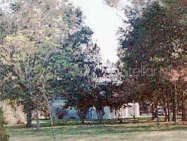 14017 Southwest 91st Street Archer, FL 32618 - Photo 1 of 1 a big yard with large trees