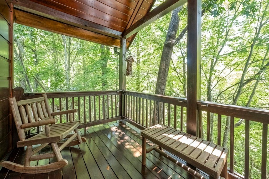 417 South Dream Catcher Blue Ridge, GA 30513 - Photo 25 of 34 Gallery Image 25