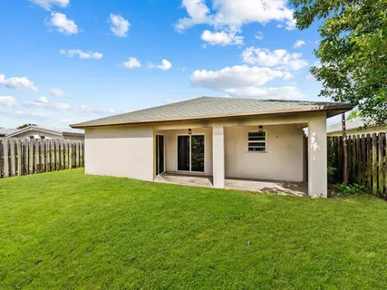 a view of a backyard with plants and large tree