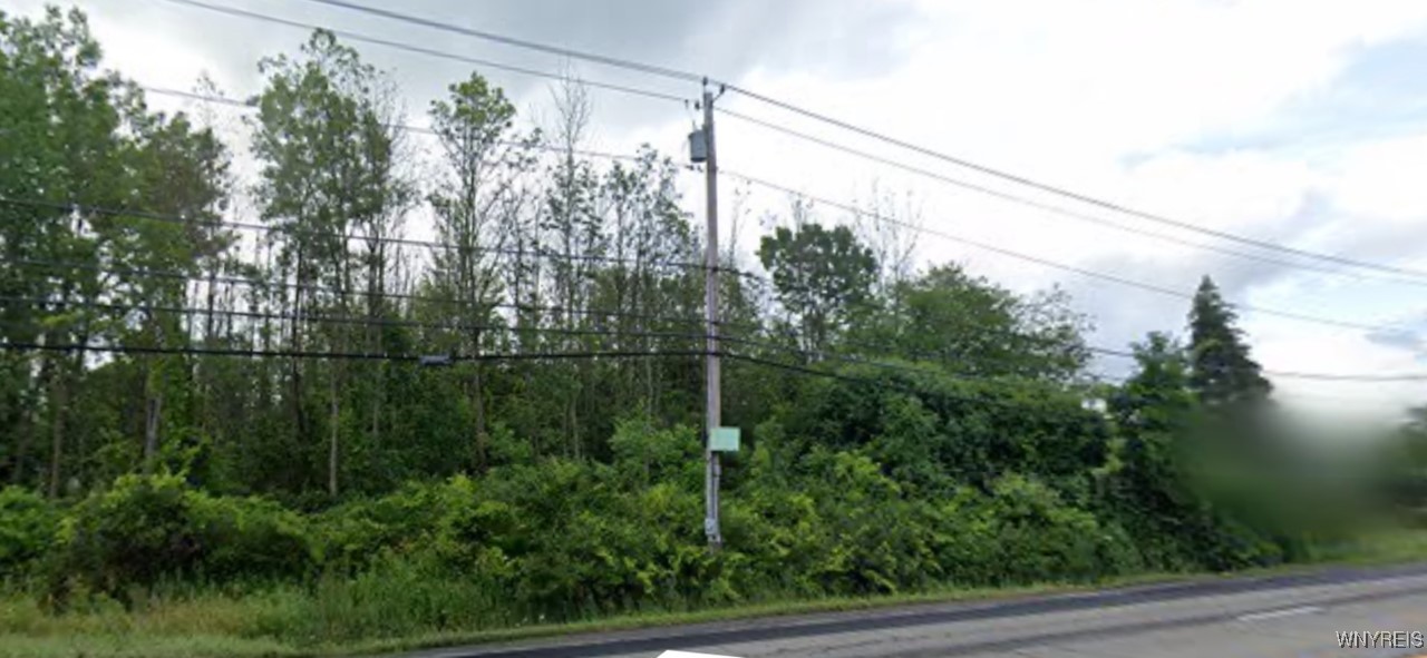 V/l Erie Road Evans, NY 14006 - Photo 4 of 7