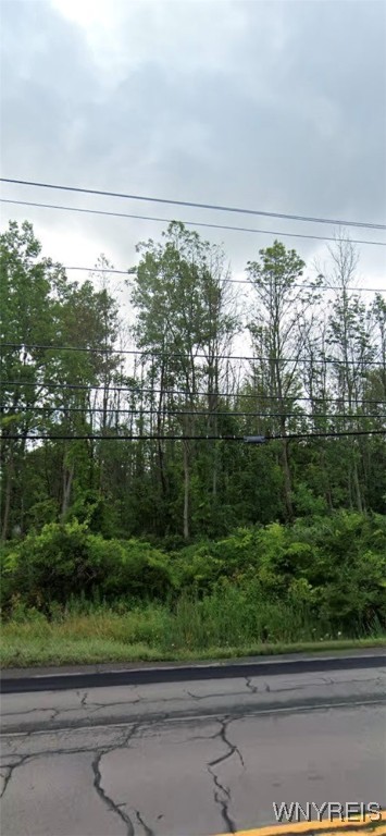 V/l Erie Road Evans, NY 14006 - Photo 6 of 7