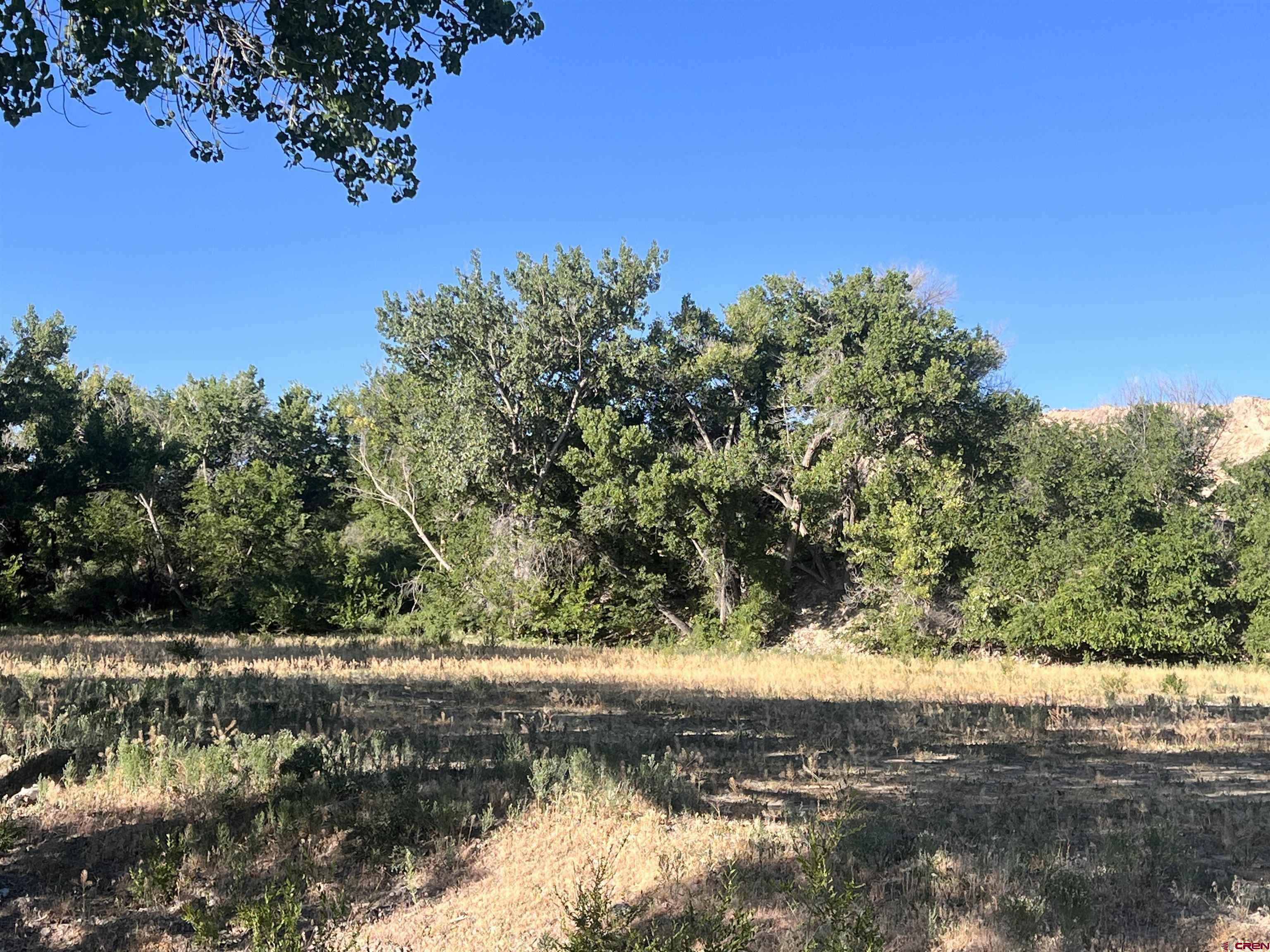 Tbd 5725th Road Olathe, CO 81425 - Photo 15 of 19