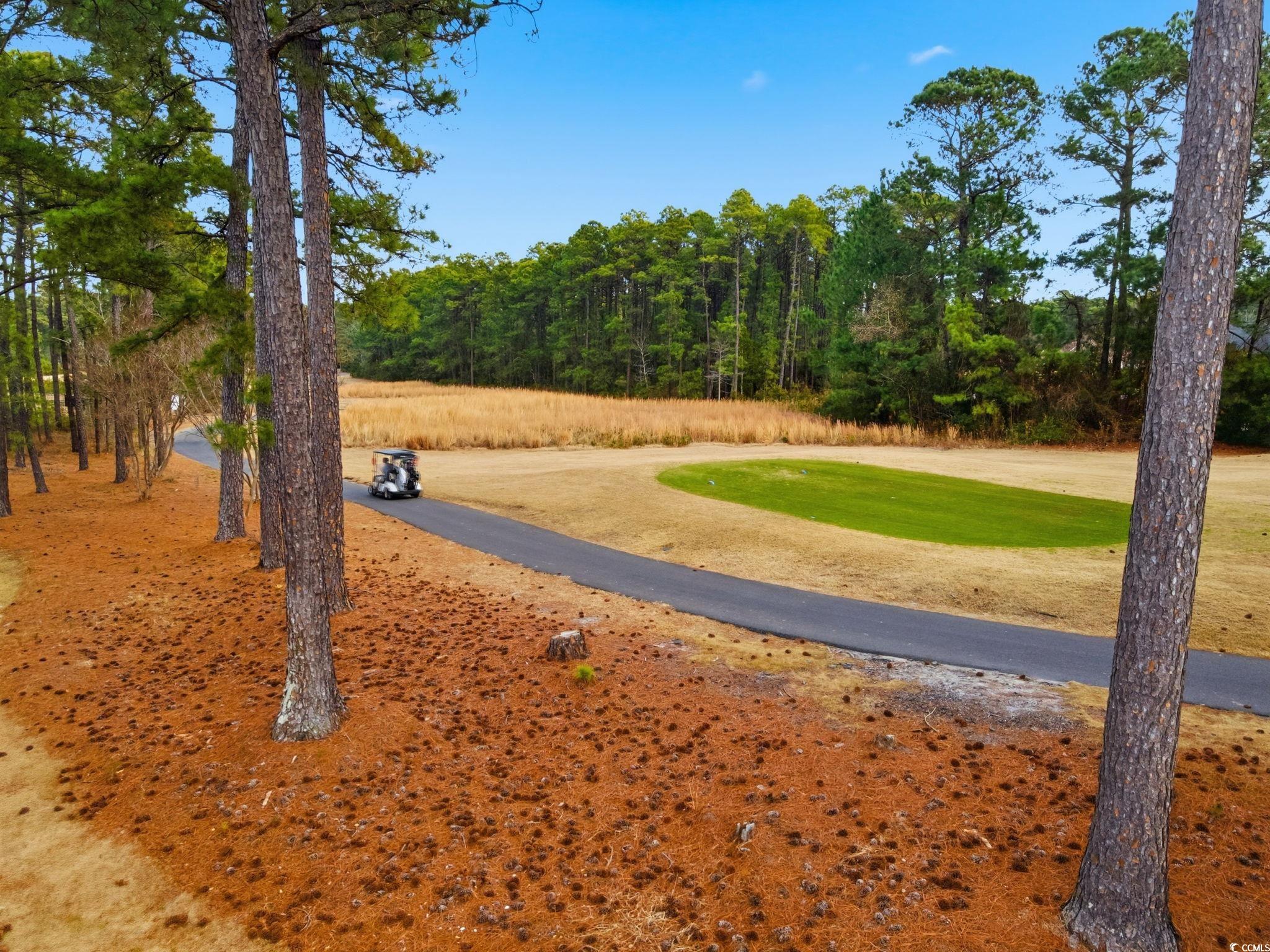 4604 Arran Court, Unit B Myrtle Beach, SC 29579 - Photo 34 of 40