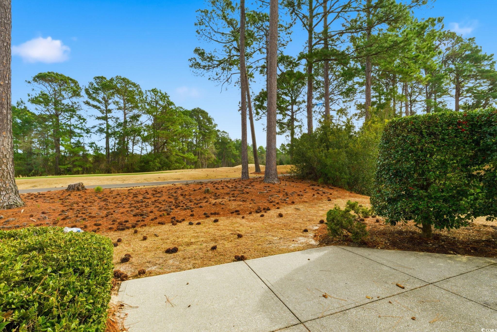 4604 Arran Court, Unit B Myrtle Beach, SC 29579 - Photo 6 of 40