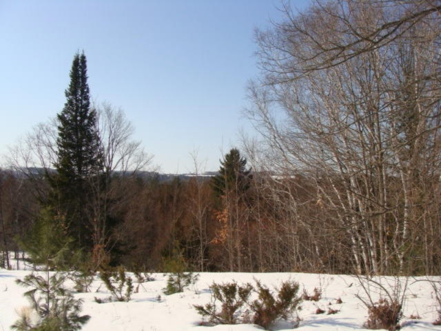 2300 Bellmer Road Petoskey, MI 49770 - Photo 3 of 21 DSC03762