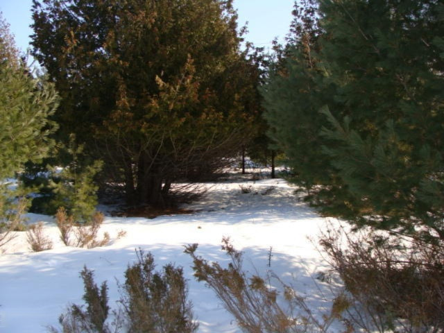 2300 Bellmer Road Petoskey, MI 49770 - Photo 7 of 21 DSC03761