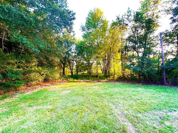 a backyard of apartments with trees