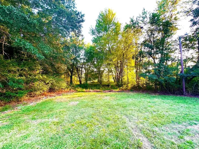 $1,775 | 2003 Bond Ferry Road, Brownsville, TN 38012