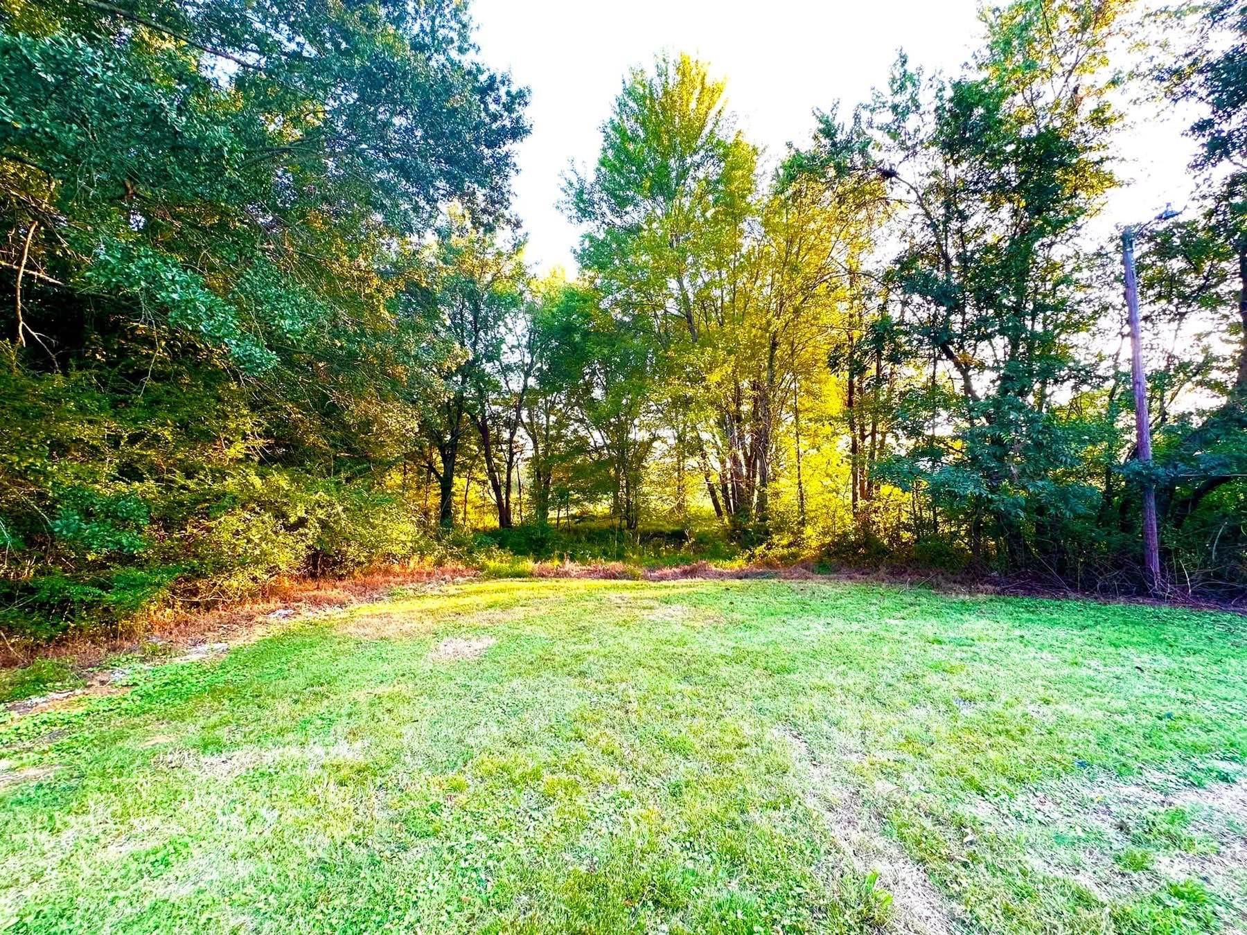 2003 Bond Ferry Road Brownsville, TN 38012 - Photo 16 of 16 View of grassy yard