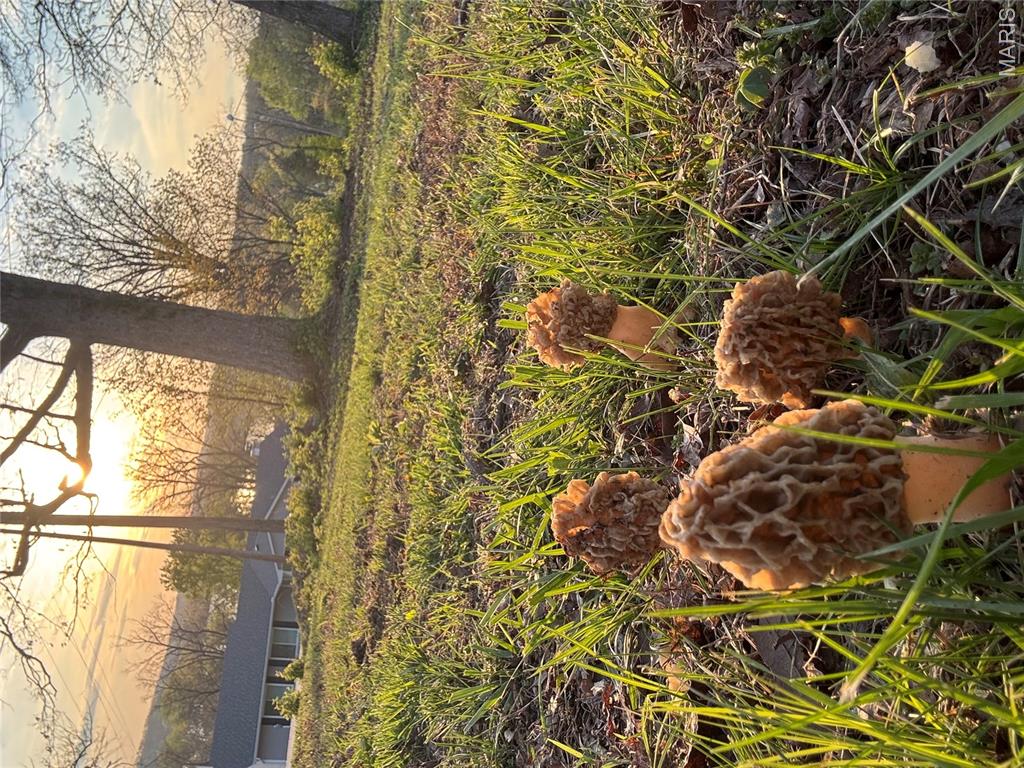 2609 Nike Base Road Catawissa, MO 63015 - Photo 36 of 36