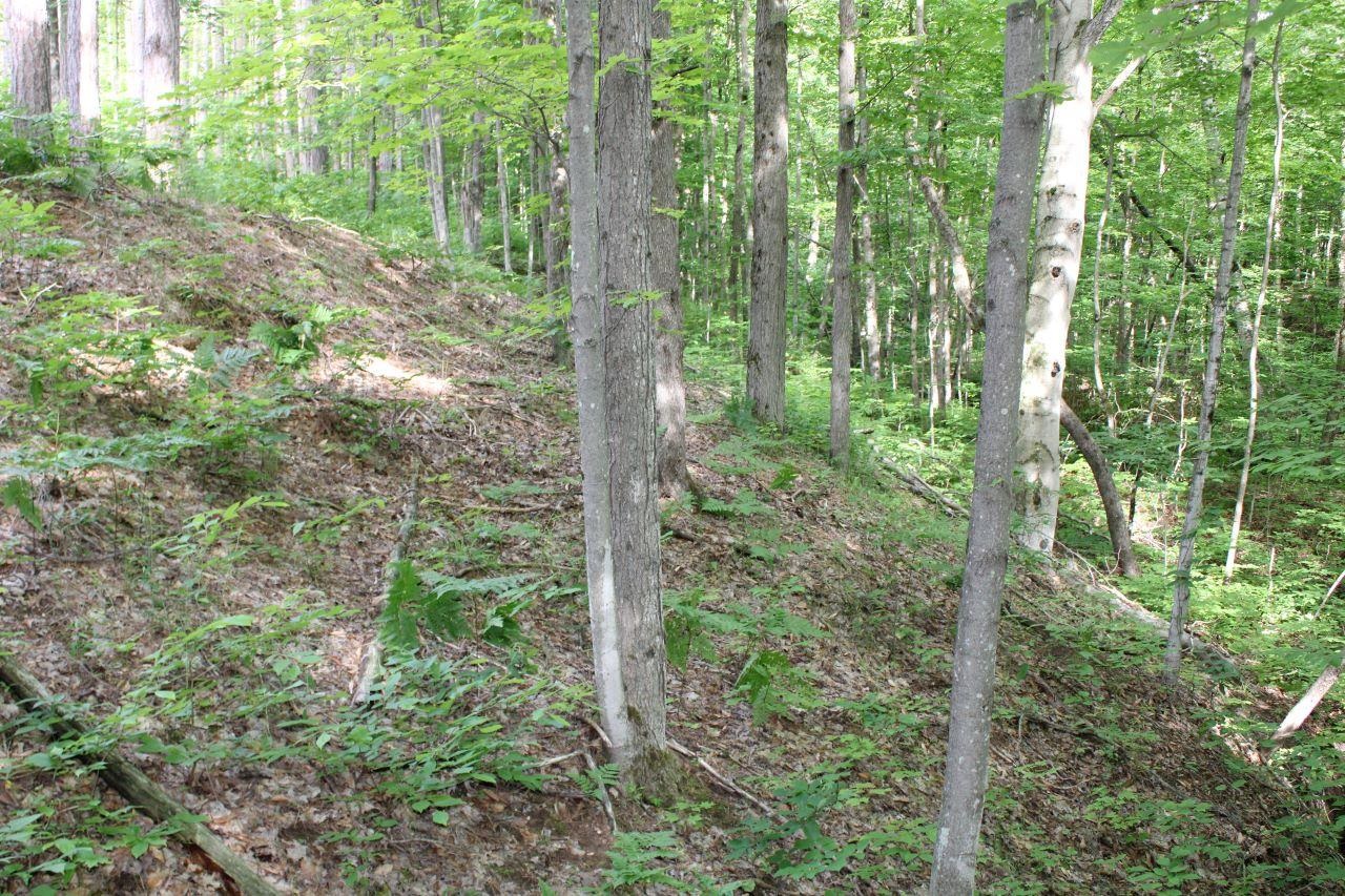 2750 Apple Creek Road Kalkaska, MI 49646 - Photo 8 of 24