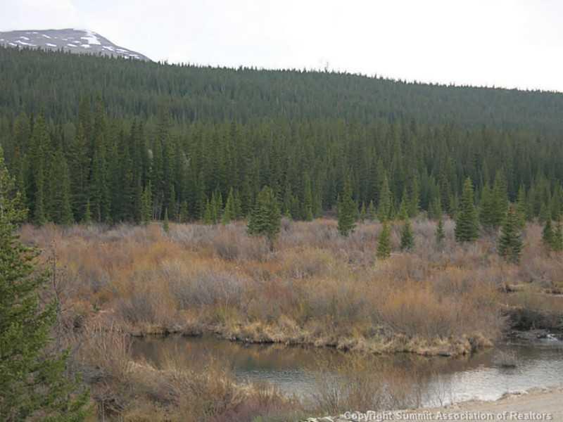 2813 Nugget Road Fairplay, CO 80440 - Photo 2 of 7 Gallery Image 2