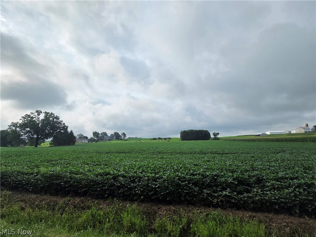 Goudy Road Orrville, OH 44667 - Photo 19 of 27 Gallery Image 19