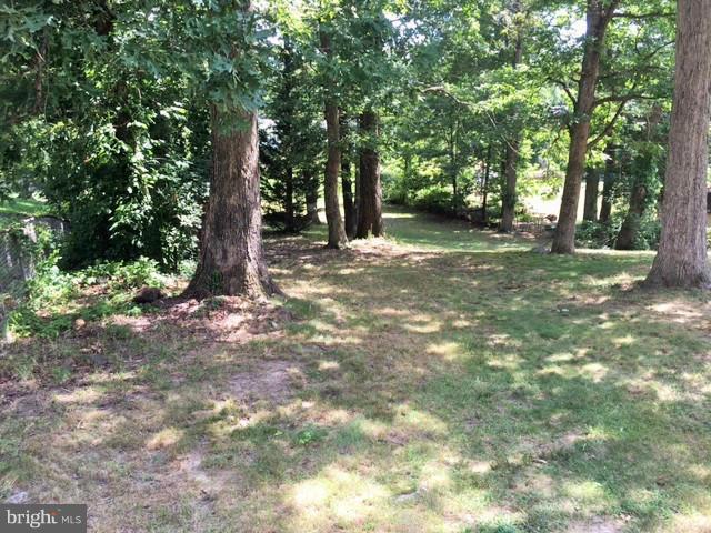 8506 Schultz Road Clinton, MD 20735 - Photo 28 of 30 a view of a forest with trees
