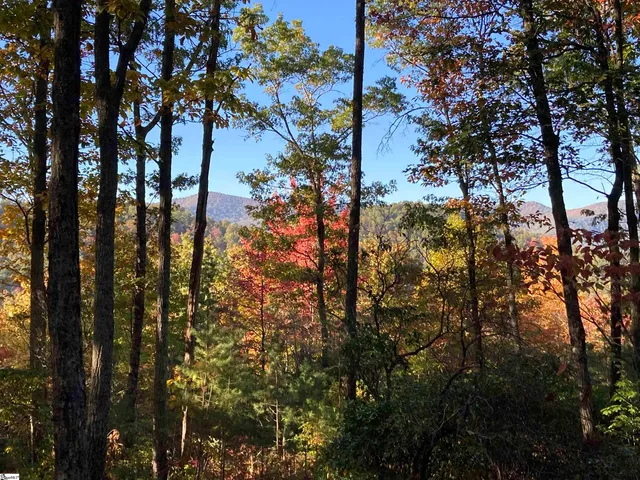 $489,000 | White Fox Trail, Unit 15, Marietta, SC 29661