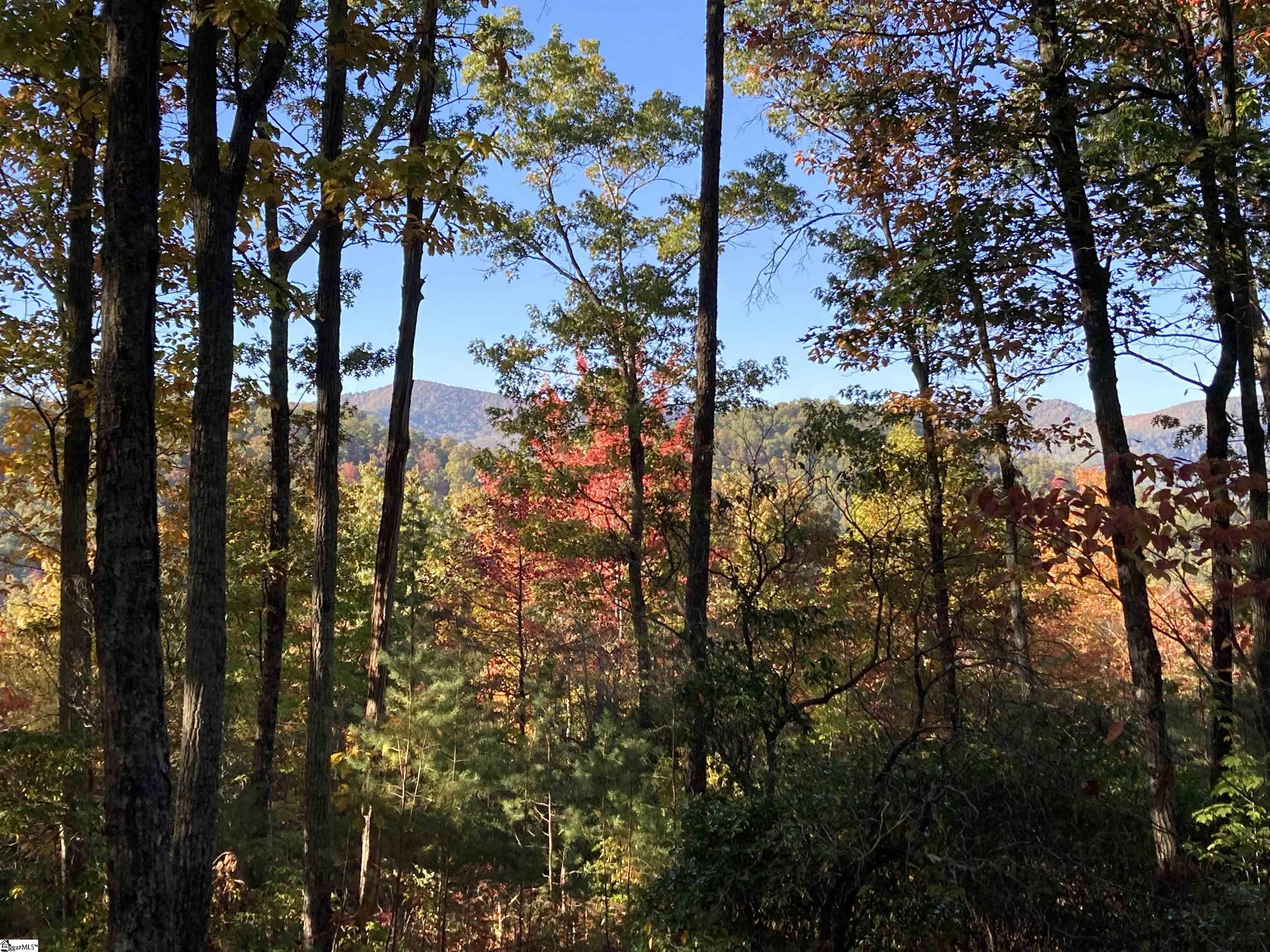 White Fox Trail, Unit 15 Marietta, SC 29661 - Photo 2 of 4
