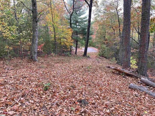 $489,000 | White Fox Trail, Unit 15, Marietta, SC 29661