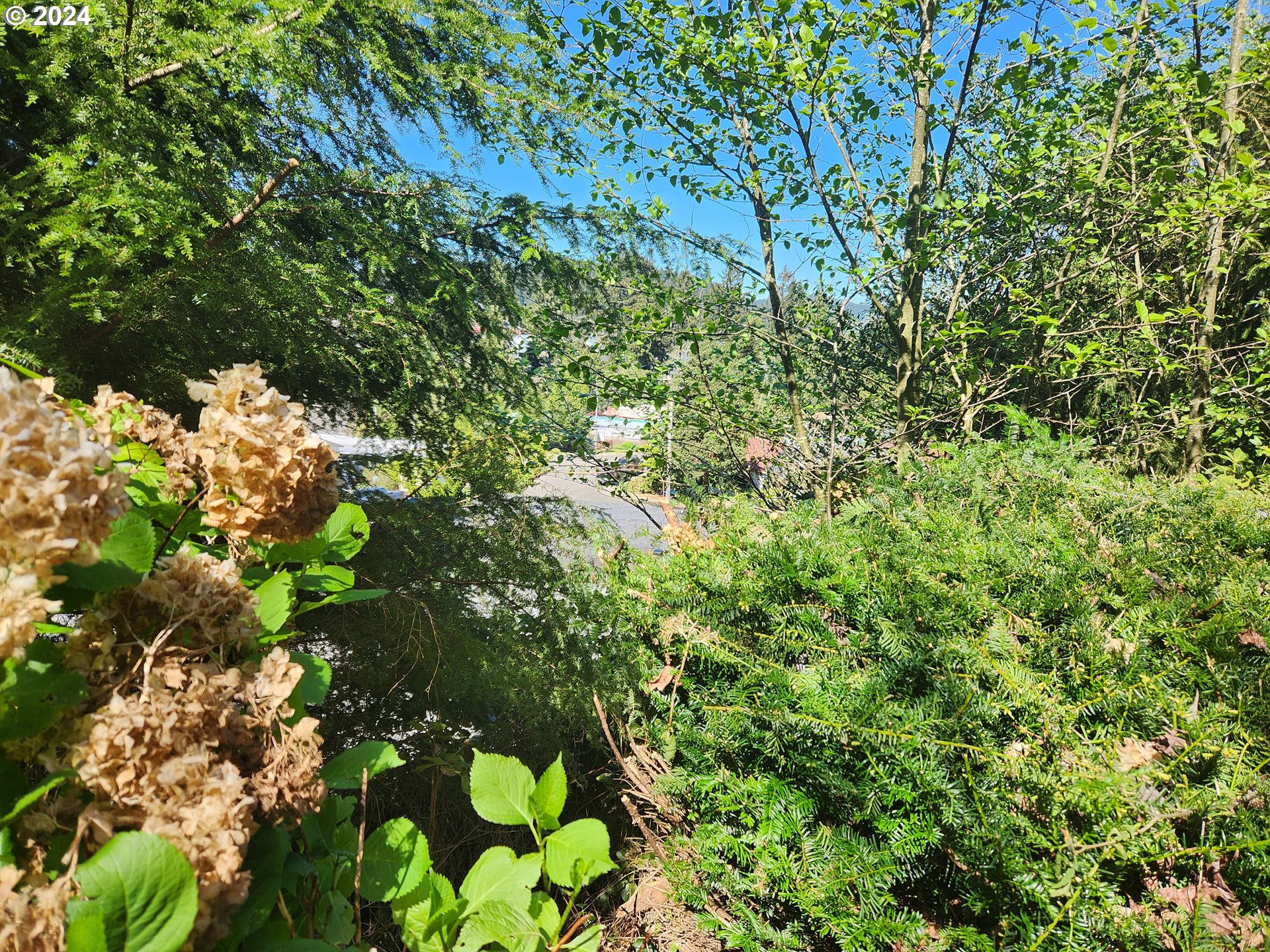 888 Vista Court Reedsport, OR 97467 - Photo 5 of 24 Gallery Image 5