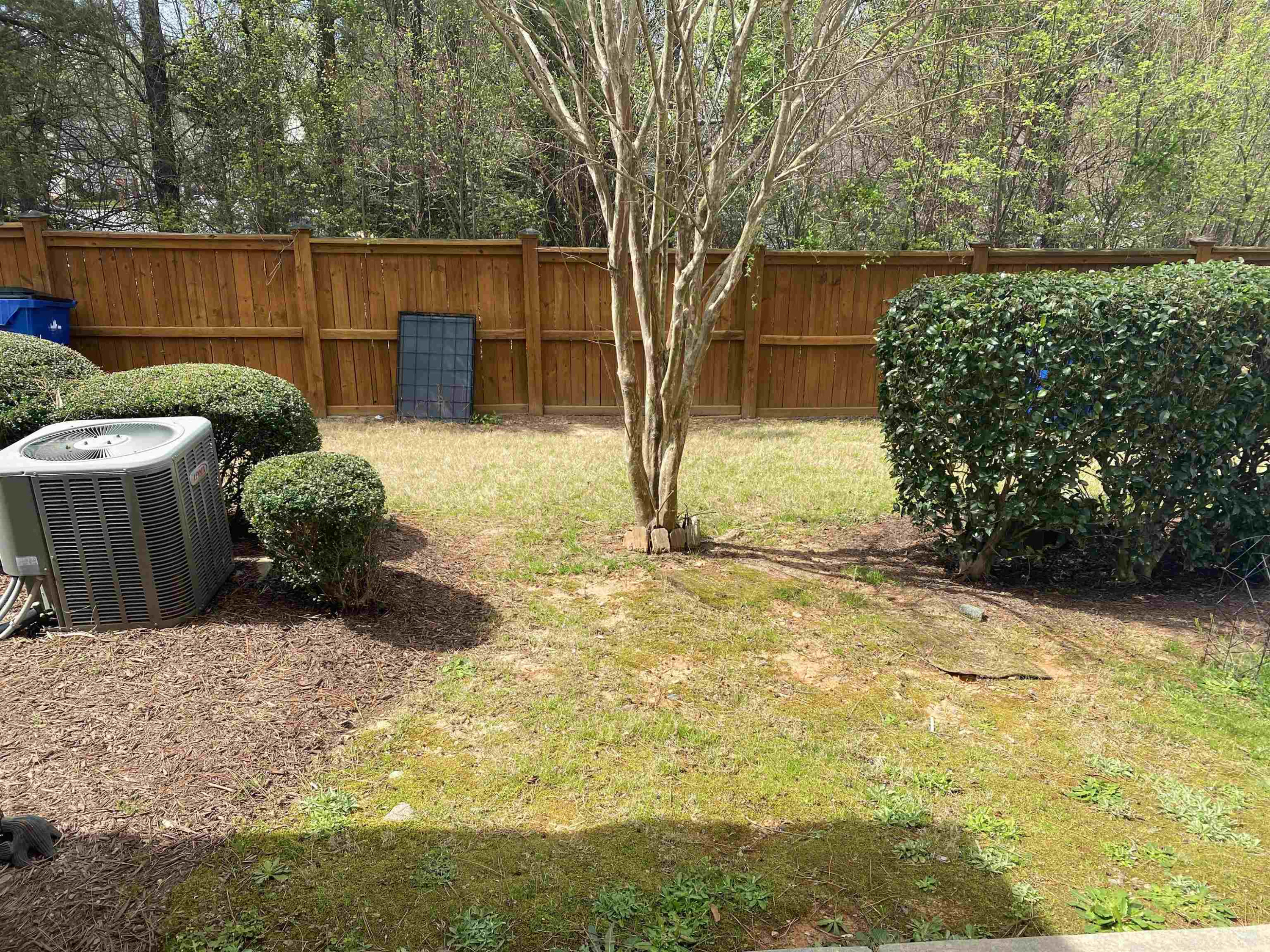 2962 Berkeley Springs Place Raleigh, NC 27616 - Photo 20 of 21 Photo 20