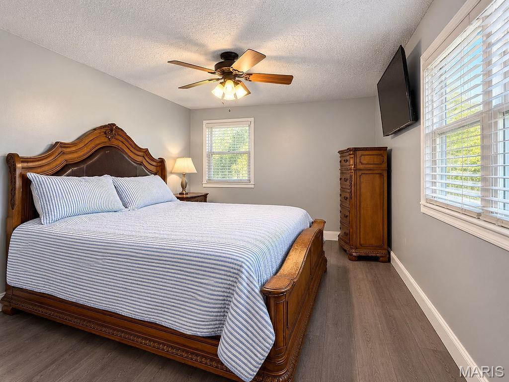 702 Locust Street Festus, MO 63028 - Photo 15 of 22 Gallery Image 15