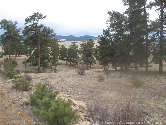 0 Thunder Road Lake George, CO 80827 - Photo 1 of 5