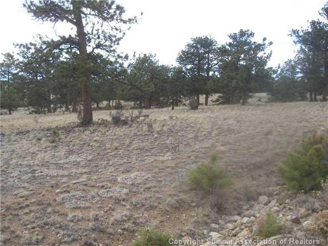 0 Thunder Road Lake George, CO 80827 - Photo 2 of 5