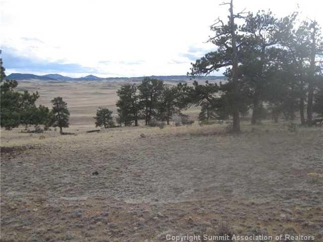 0 Thunder Road Lake George, CO 80827 - Photo 3 of 5