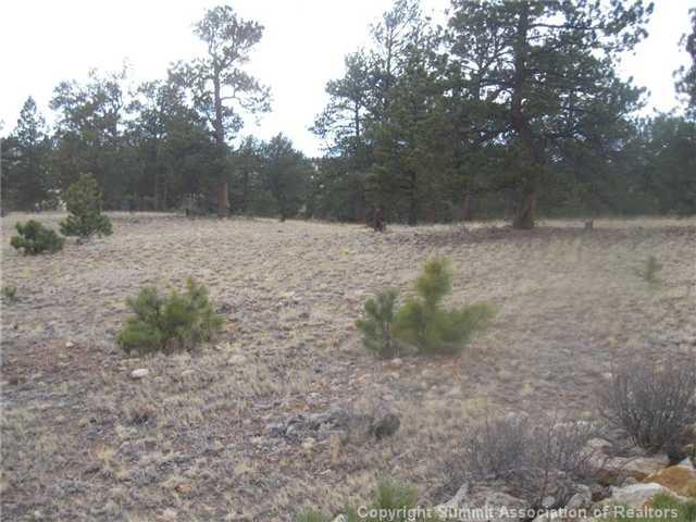 0 Thunder Road Lake George, CO 80827 - Photo 4 of 5