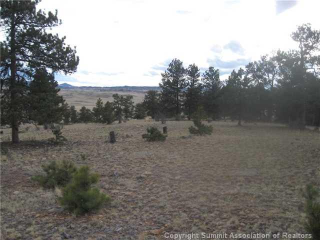 0 Thunder Road Lake George, CO 80827 - Photo 5 of 5