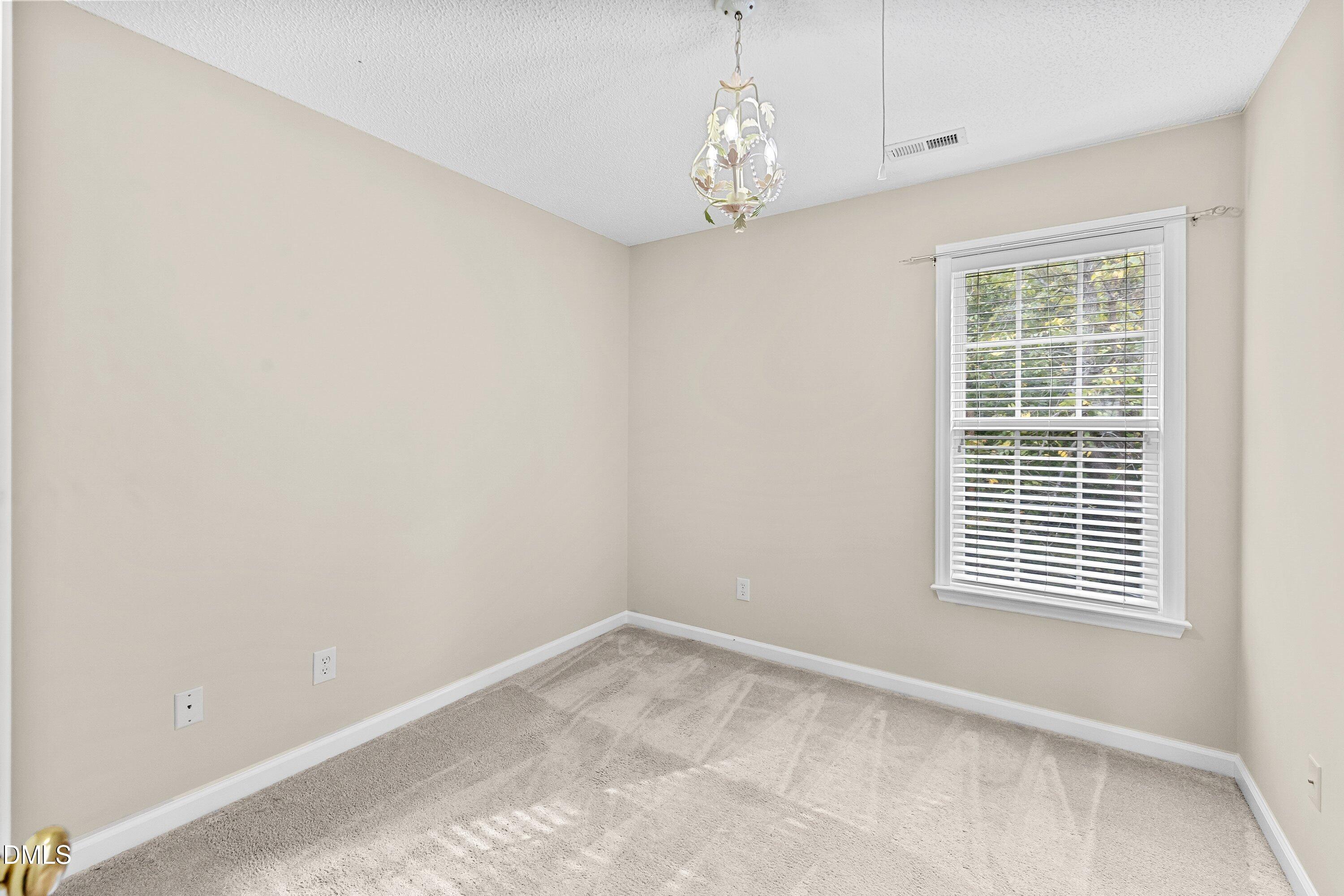 10821 Farmville Road Raleigh, NC 27614 - Photo 21 of 37 28-10821 Farmville _4642