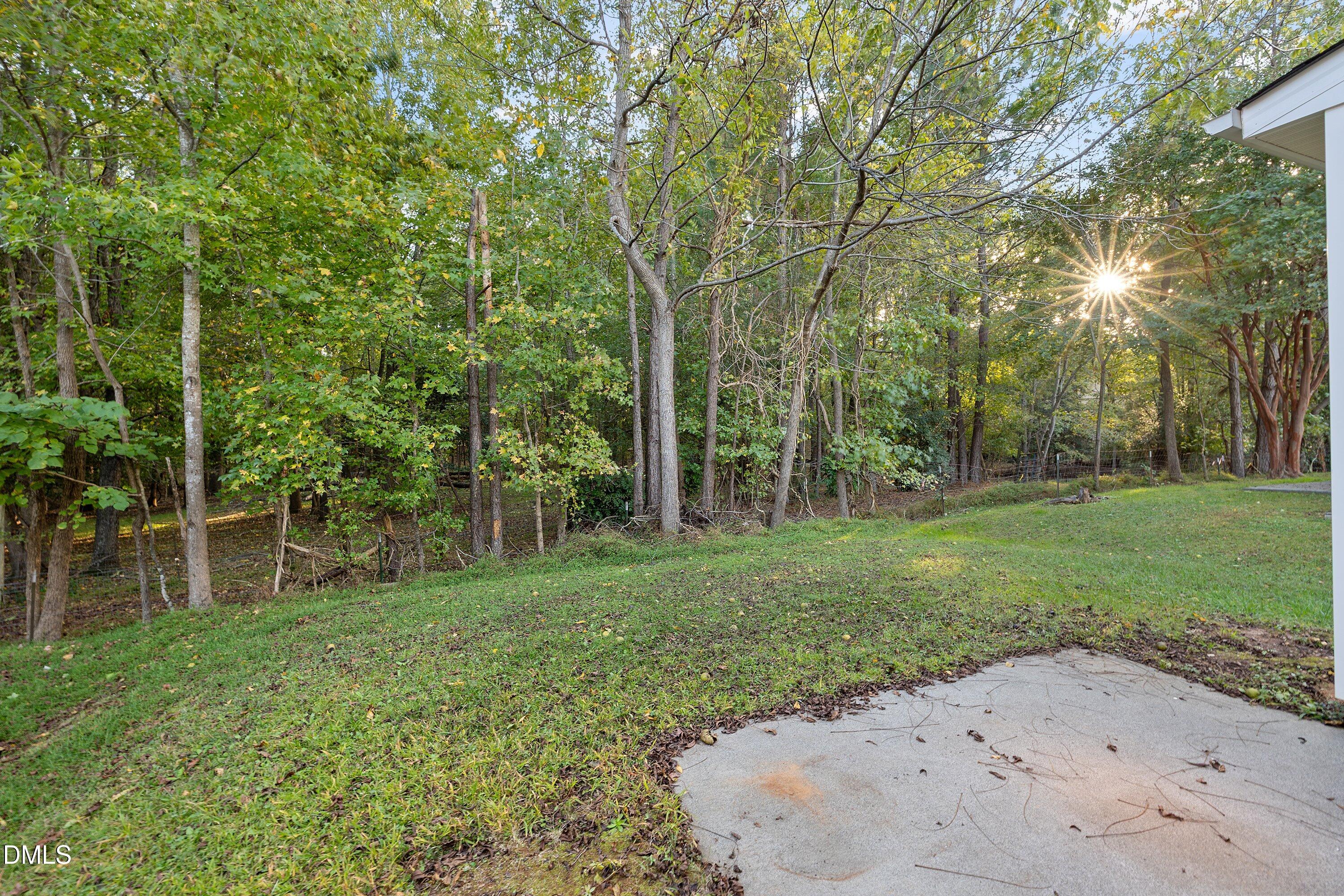 10821 Farmville Road Raleigh, NC 27614 - Photo 28 of 37 33-10821 Farmville _4772