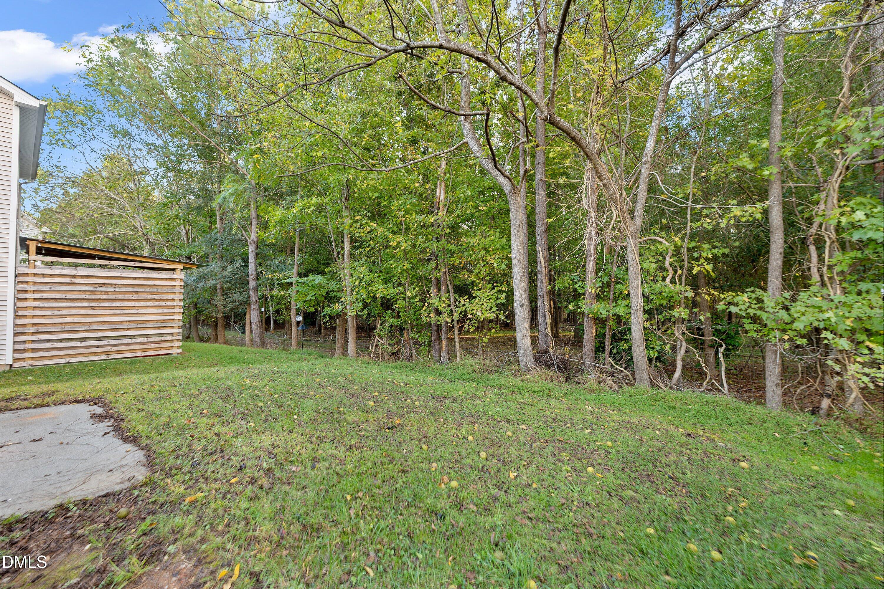 10821 Farmville Road Raleigh, NC 27614 - Photo 29 of 37 34-10821 Farmville _4775